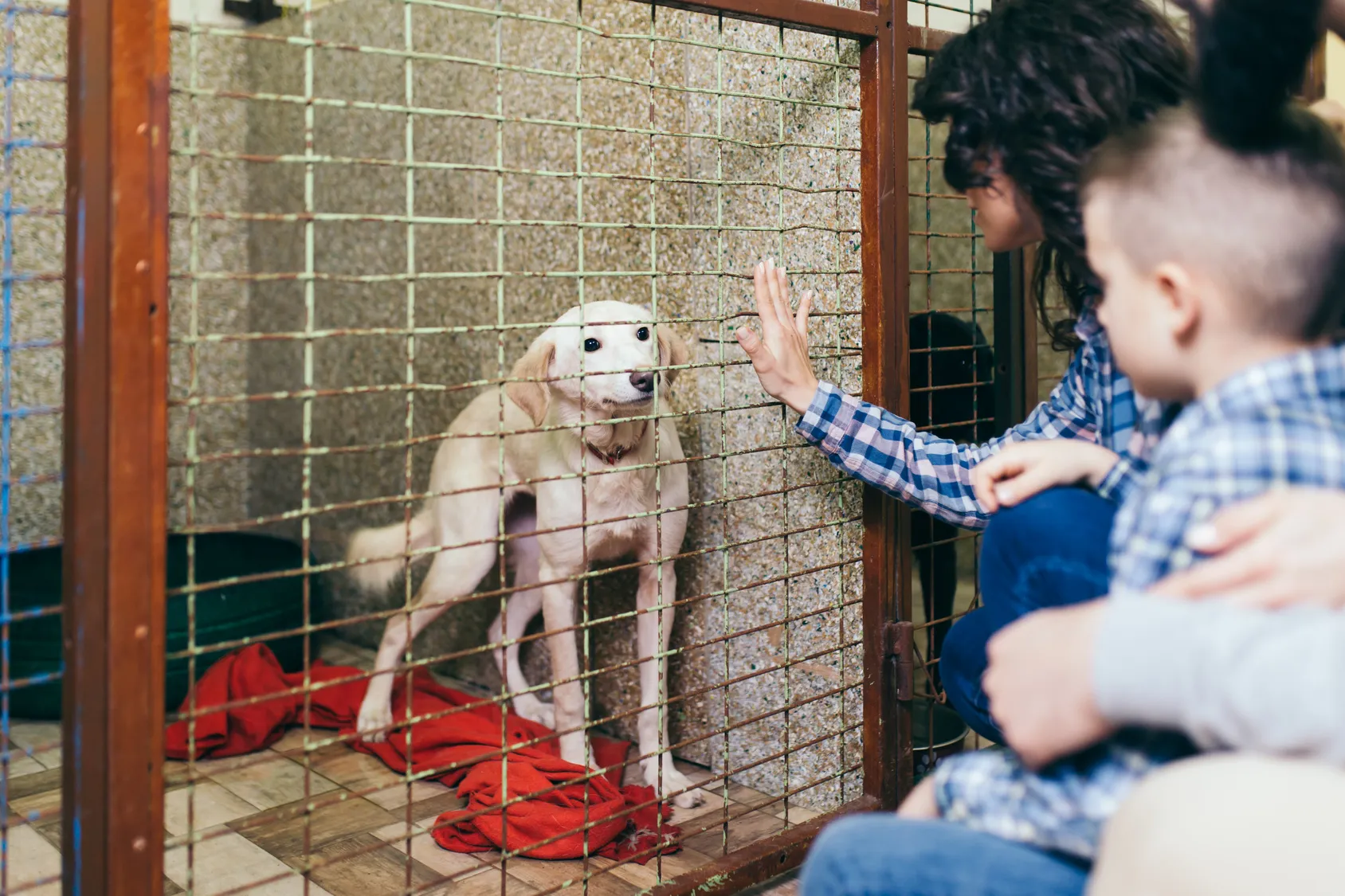 Frau mit Kind sieht sich Hund im Tierheim an Hund im Käfig eines Tierheims