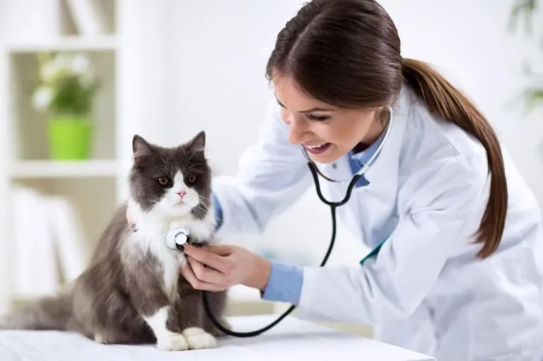 Prvi obisk veterinarja Prvi obisk veterinarja
