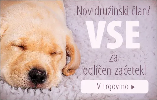 2018_01_Puppy_Mood_500x320_SI