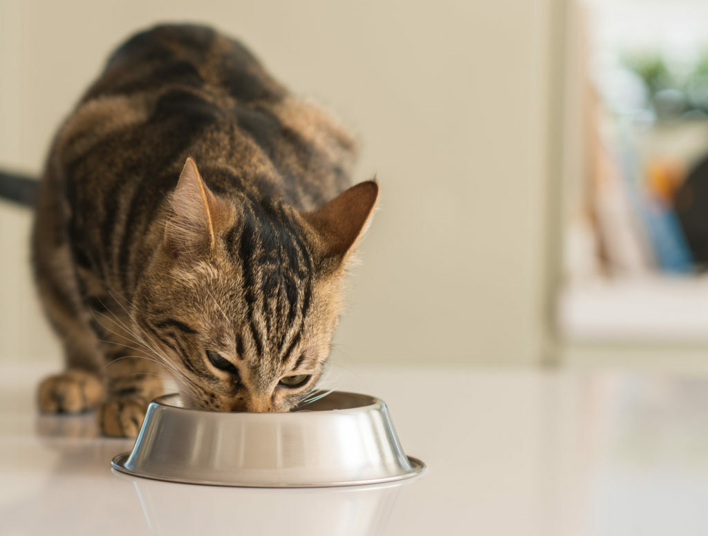 ”Nom, nom, nom …” ''Nom, nom, nom ...''