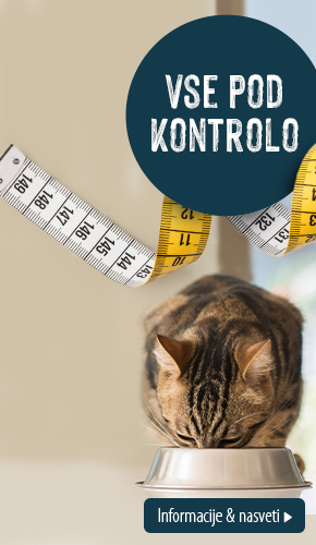 SI_right_obesity_campaign_2021