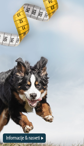 SI_left_obesity_campaign_2021