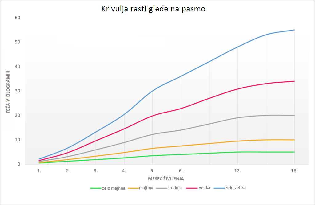 Prehrana za mladičke