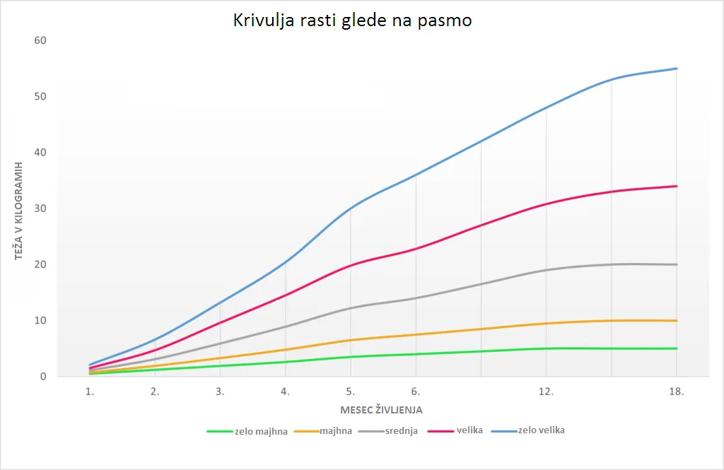 Prehrana za mladičke Prehrana za mladičke
