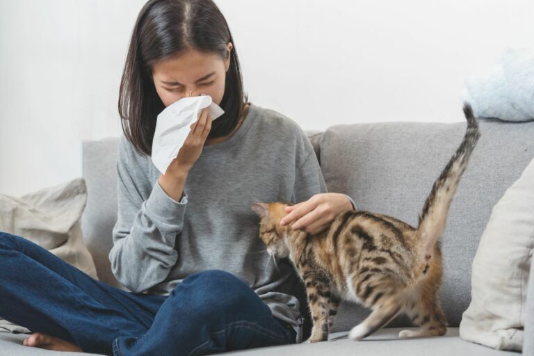 Alergija na mačke - ženska in mačka na kavču
