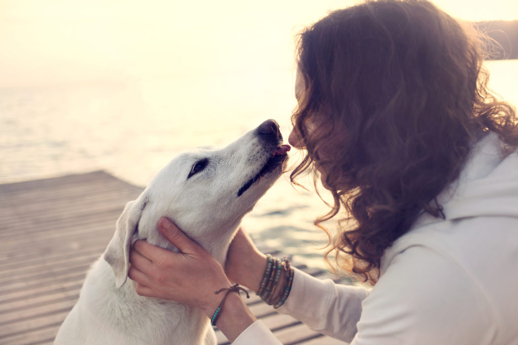 Poljubljanje psov – da ali ne?