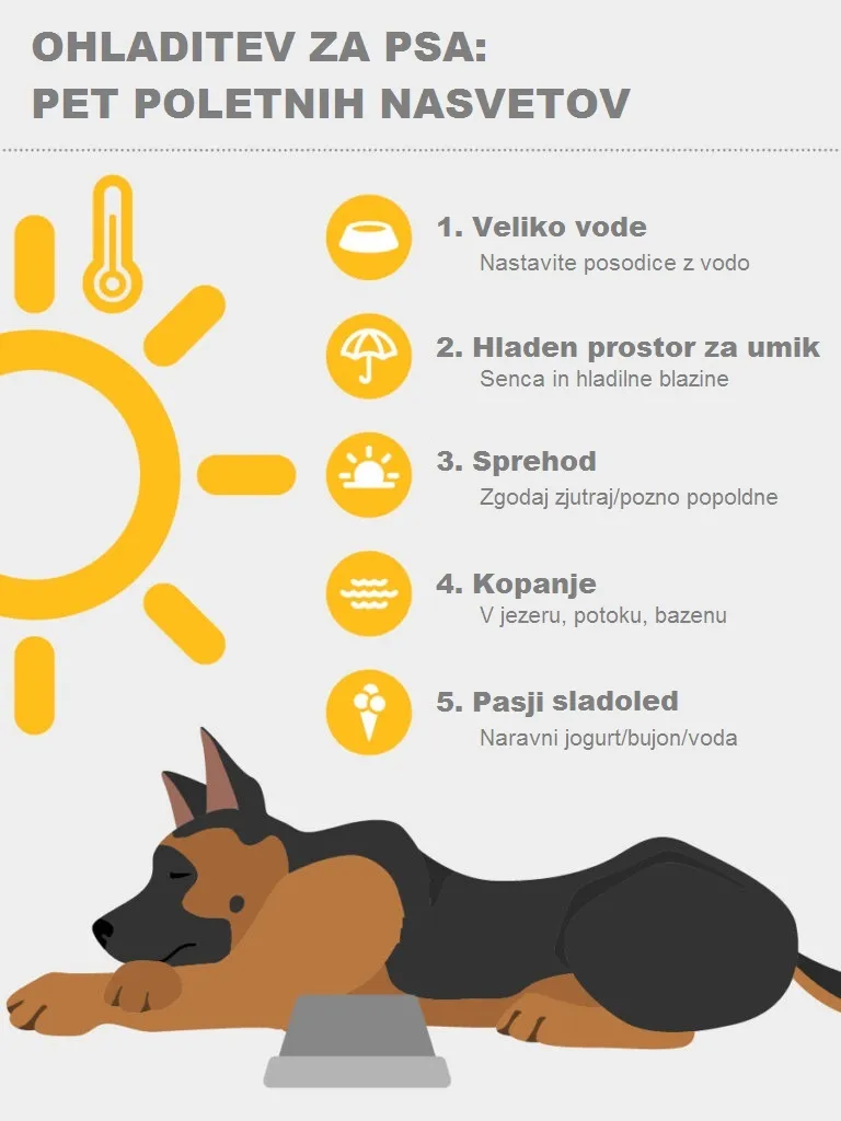 Vročinska kap pri psih Vročinska kap pri psih