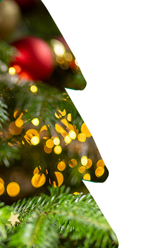 Xmas banner right